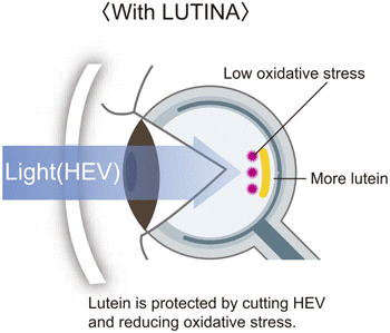 Eye protected by lutina lens