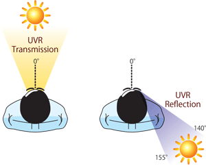 UVR Reflection Image