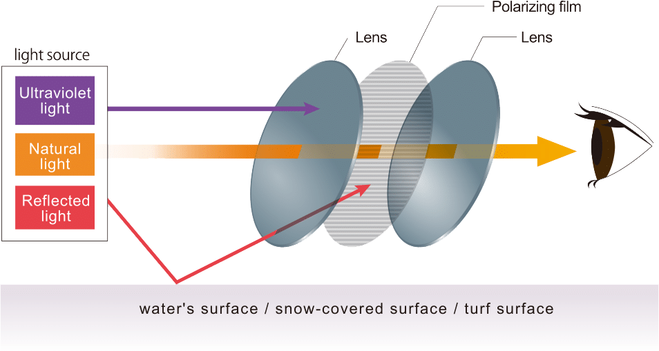 Polar Lens Explination