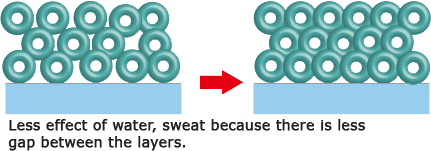 Molecule Structure